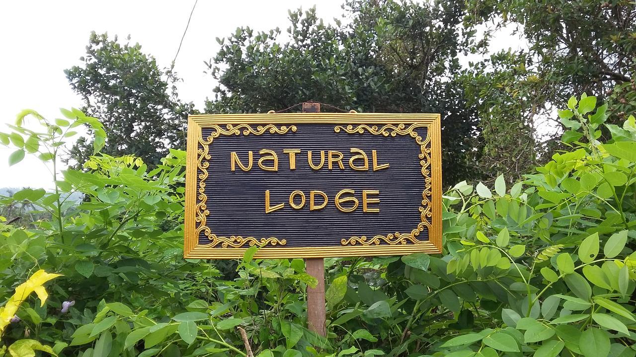 Natural Lodge 2 Selemadeg  Екстер'єр фото